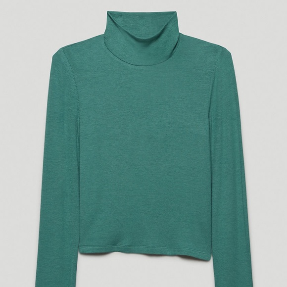 Wilfred Sweaters - Aritzia Only Turtleneck Cropped